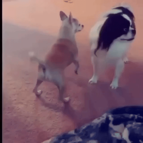Work it!
