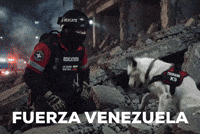 Usar La Guaira GIF by Mr Urbina