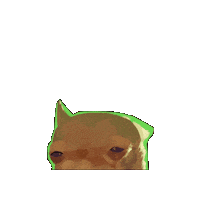 hellohorrible meme chihuahua judging Sticker