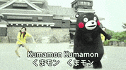 kumamon GIF