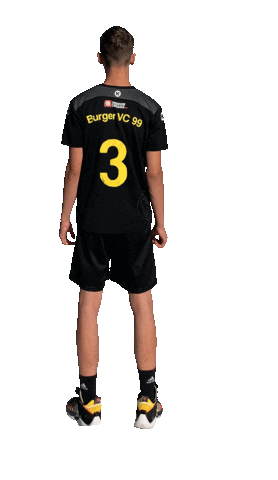 Sachsen-Anhalt Volleyball Sticker by Burger VC 99