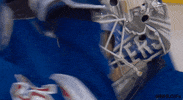 Ice Hockey Win GIF by NHL