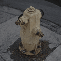 Los Angeles Animation GIF by Liaizon Wakest