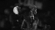 HandyGames surprise shock bird chicken GIF