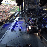 bonnaroo GIF by emibob