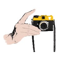 trianamendozagallardo photo camera photos photographer Sticker