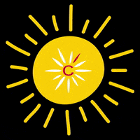 TeamCofidis hot sport summer sun GIF