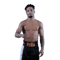 swissproboxing boxer top rank the one matchroom boxing Sticker