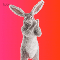 Clap Wow GIF by Tubi