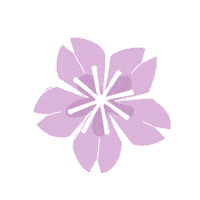 flowers flores Sticker by Natura Cosmeticos