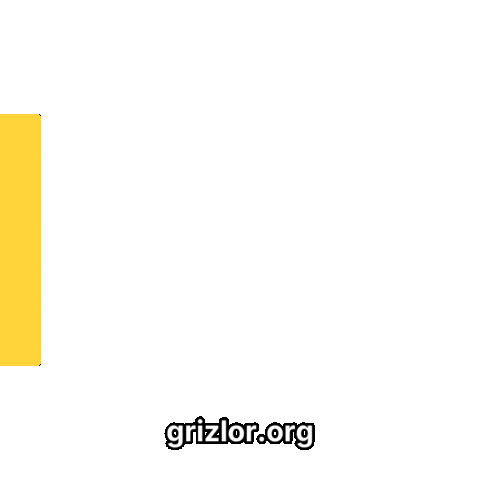 Happy Bear Sticker by grizlor