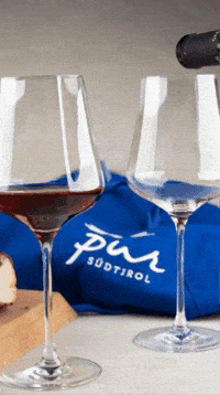 Alto Adige Suedtirol GIF by Pur Südtirol