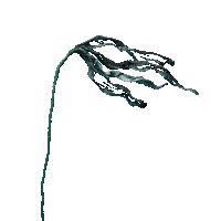 Stop Motion Animation Sticker by Mighty Oak