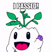 Happy I Did It GIF by Magic Eden