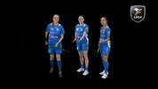 Floorball Salibandy GIF by F-liiga