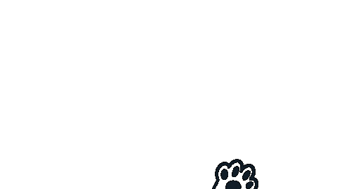 Cat Kitty Sticker