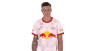 Dance Moves Rbs Sticker by FC Red Bull Salzburg