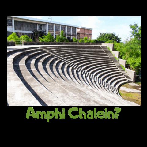 Amphitheatre GIF by SIBM Pune