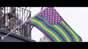 new orleans louisiana GIF