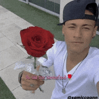 Rose Give GIF