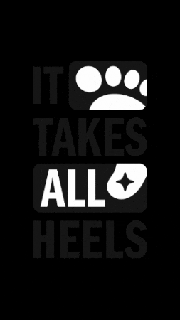 Unc GIF by UNC-Chapel Hill