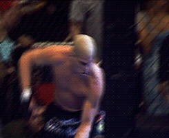 Mixed Martial Arts Mma GIF