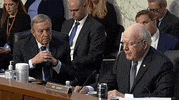 Supreme Court Confirmation Hearing GIF by GIPHY News
