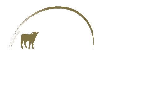 Agro Resultados Sticker by Nuctramix