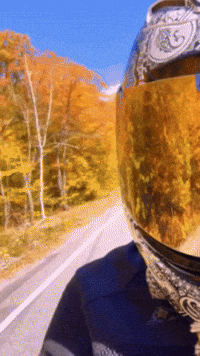 Ride Moto GIF