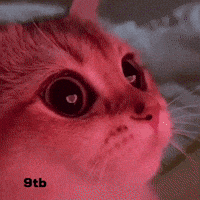 My Eyes Love GIF by Bashar