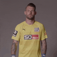 Vfl Osnabrück Football GIF by DFB