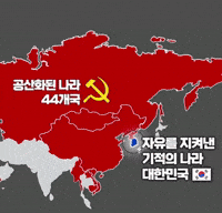 Korea Freedom GIF