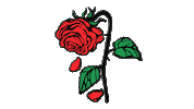 fashion streetwear Sticker by Verticals Agency