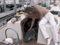 miamivice 80s elvis alligator miami vice GIF