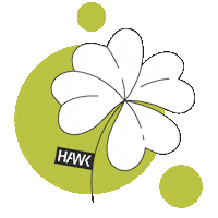 Happy New Year Good Luck Sticker by HAWK Hochschule für angewandte Wissenschaft und Kunst Hildesheim/Holzminden/Göttingen