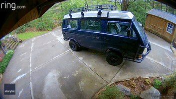 Bear Family Breaks Into Van Outside North Carolina Home