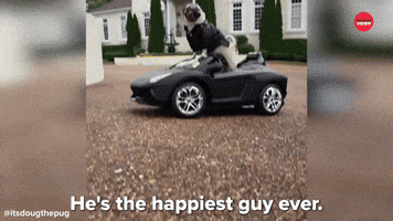 Happiest Guy Ever