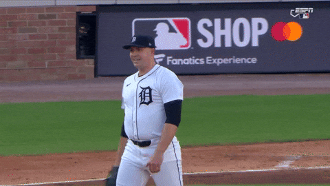 Detroit Tigers Sport GIF by MLB