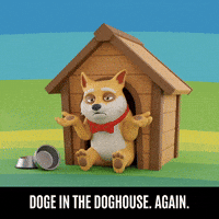 GIF by Doge Pound