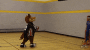 Harlem Globetrotters Fox GIF by Fayetteville Marksmen