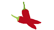 Purespice hot spicy pure spice Sticker