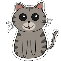 Cat Sticker