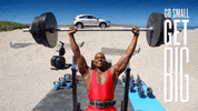 gosmallgetbig GIF by Central Valley Honda Dealers
