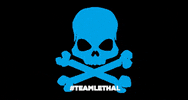 lethalperformance lethal team lethal lethal performance teamlethal GIF