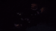 Squid Sisters Off The Hook GIF