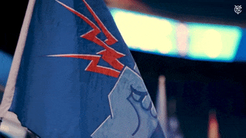 New York City Fc Mls GIF by NYCFC