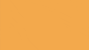 Boris Johnson Conservatives GIF by North Dorset Liberal Democrats