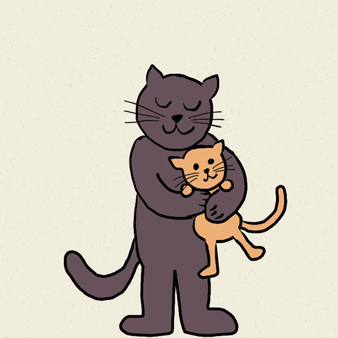 Cats Love GIF