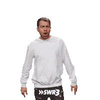 Yep Yes Sticker by SWR3