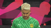 Posing Borussia Dortmund GIF by Bundesliga